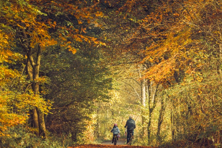 Devon way