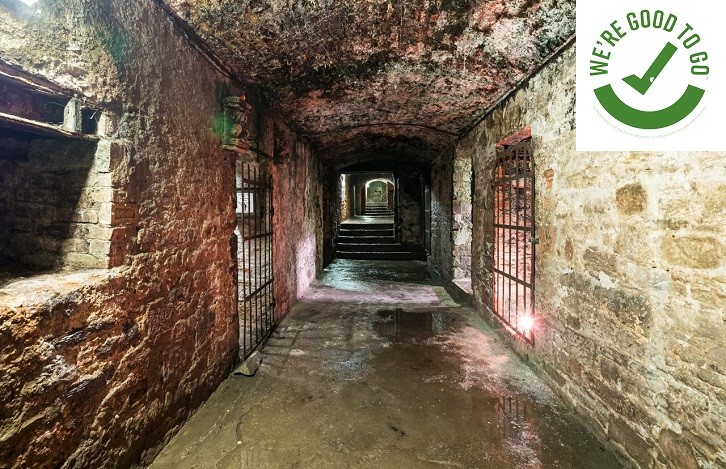 Auld Reekie vaults