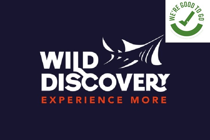 wd-logo-navybg-white-orange low res