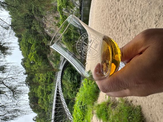 Glass of whisky 1